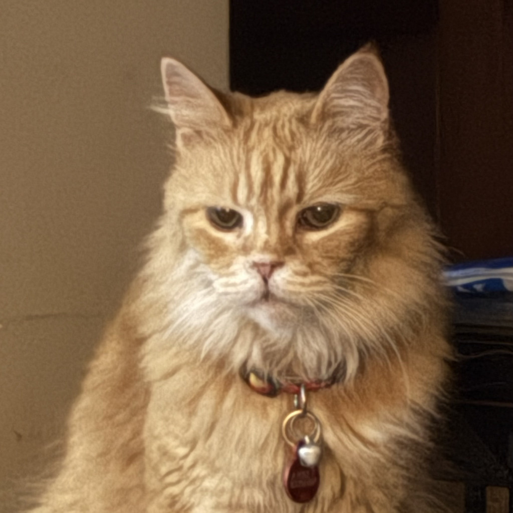 Abby