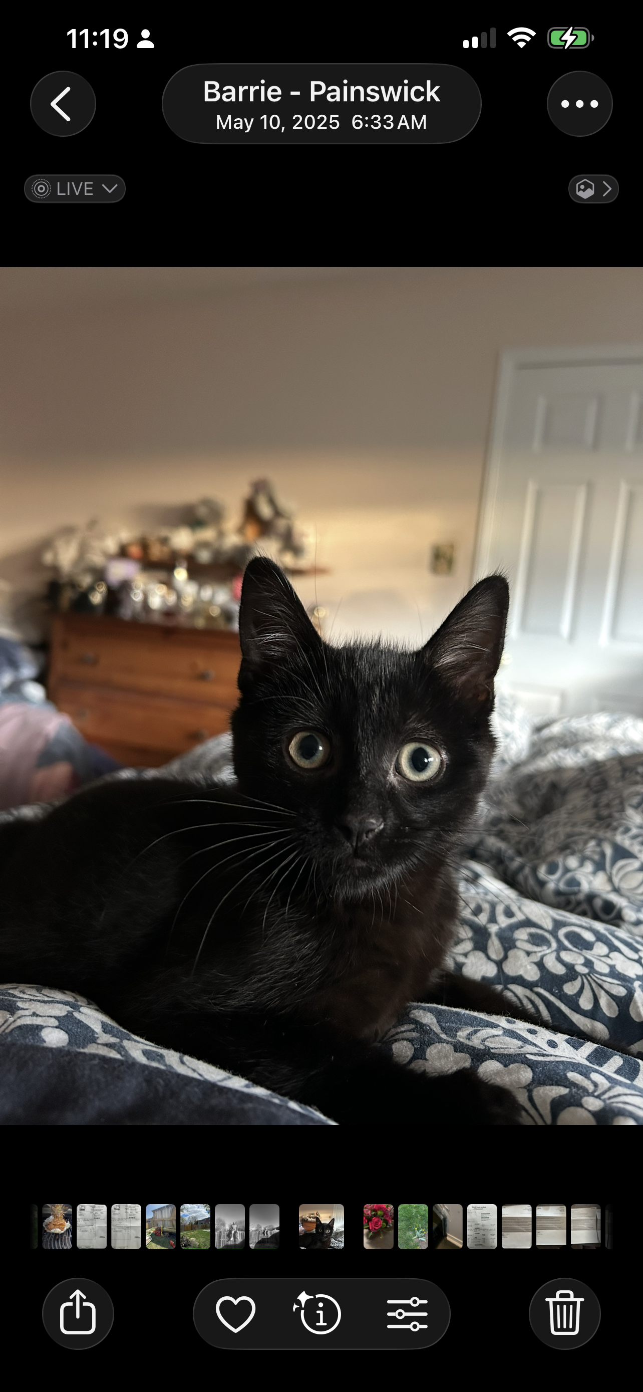 Binx